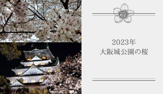 【大阪城公園 お花見】2023年の会場の様子！場所は？桜の見頃は？屋台や夜のライトアップなどイベント情報も！